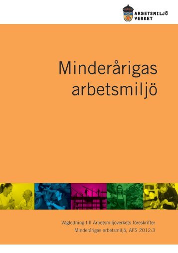 MinderÃ¥rigas arbetsmiljÃ¶ - VÃ¤gledning till fÃ¶reksrifterna AFS 2012:03