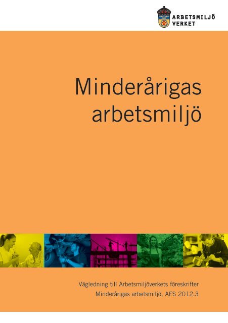 MinderÃ¥rigas arbetsmiljÃ¶ - VÃ¤gledning till fÃ¶reksrifterna AFS 2012:03