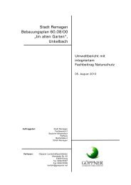 c) Umweltbericht mit integriertem Fachbeitrag Naturschutz