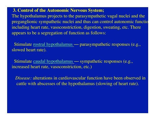 Diencephalon and Hypothalamus Objectives