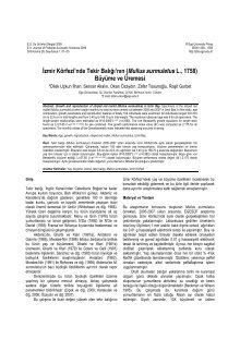 Denizi Magazines