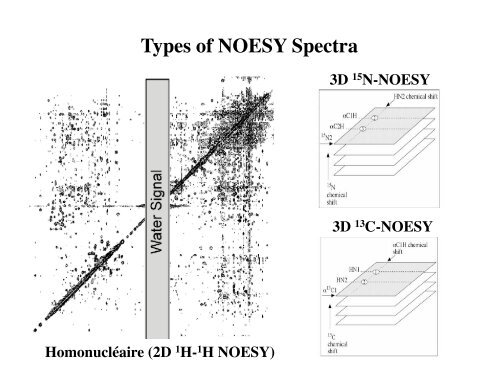 Protein Structures Determined by NMR - ESI