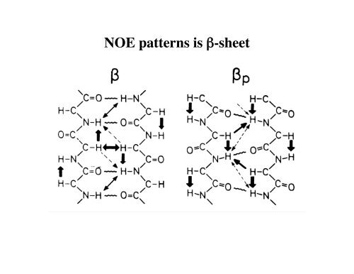 Protein Structures Determined by NMR - ESI