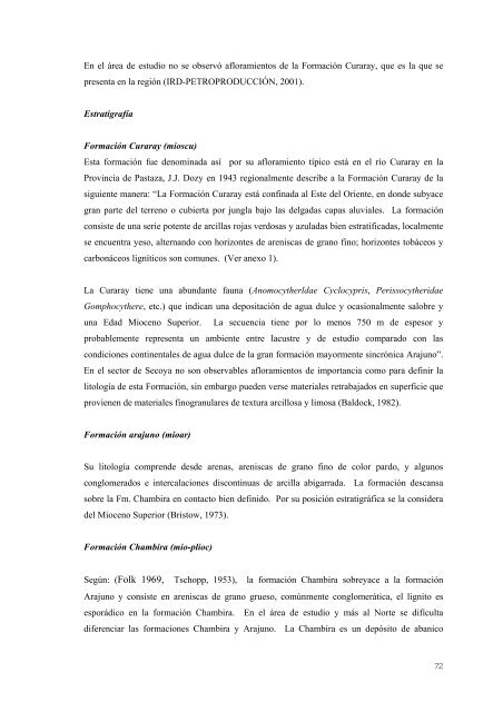 FABRICIO JARAMILLO.pdf