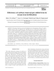 Efficiency of carbon removal per added iron in ocean iron fertilization