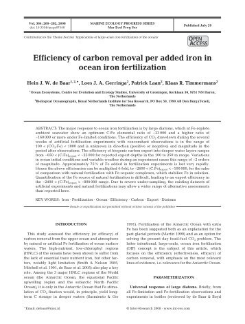 Efficiency of carbon removal per added iron in ocean iron fertilization