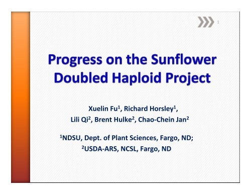 Progress on the Sunflower Doubled Haploid Project - National ...