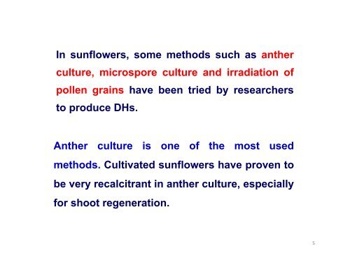 Progress on the Sunflower Doubled Haploid Project - National ...