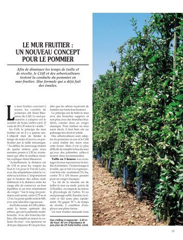 LE MUR FRUITIER : UN NOUVEAU CONCEPT POUR ... - Canalblog