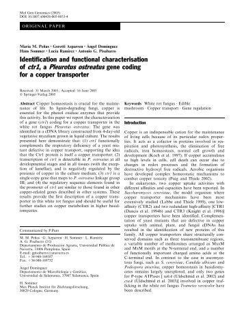 of ctr1, a Pleurotus ostreatus gene coding - Universidad Pública de ...