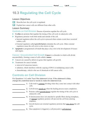 10.3 Regulating the Cell Cycle