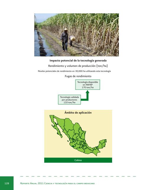 Reporte Anual 2011 Ciencia y tecnologÃ­a para el campo mexicano