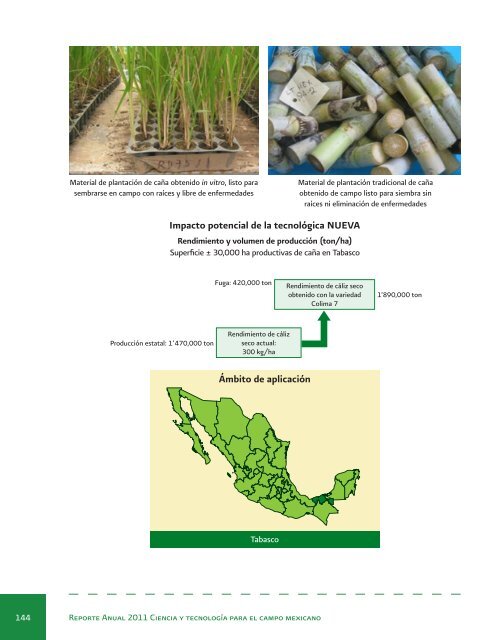 Reporte Anual 2011 Ciencia y tecnologÃ­a para el campo mexicano