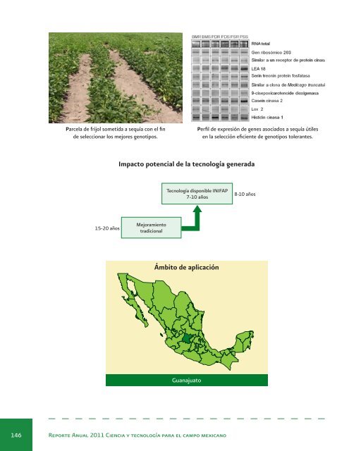 Reporte Anual 2011 Ciencia y tecnologÃ­a para el campo mexicano