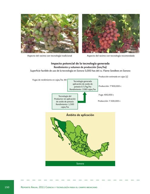 Reporte Anual 2011 Ciencia y tecnologÃ­a para el campo mexicano