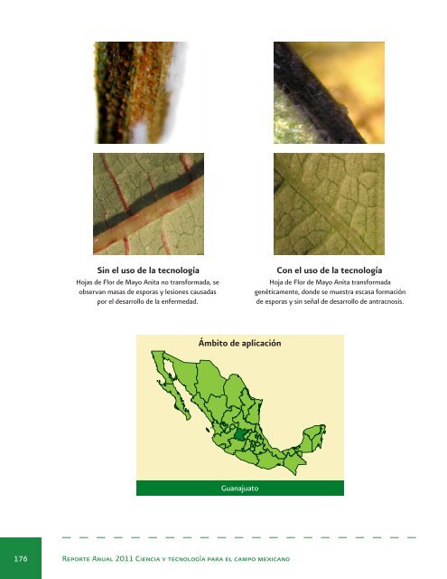 Reporte Anual 2011 Ciencia y tecnologÃ­a para el campo mexicano