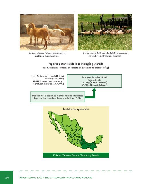 Reporte Anual 2011 Ciencia y tecnologÃ­a para el campo mexicano