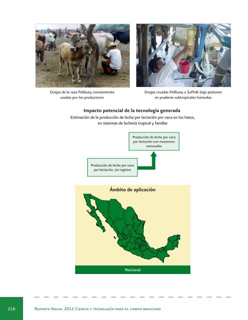 Reporte Anual 2011 Ciencia y tecnologÃ­a para el campo mexicano