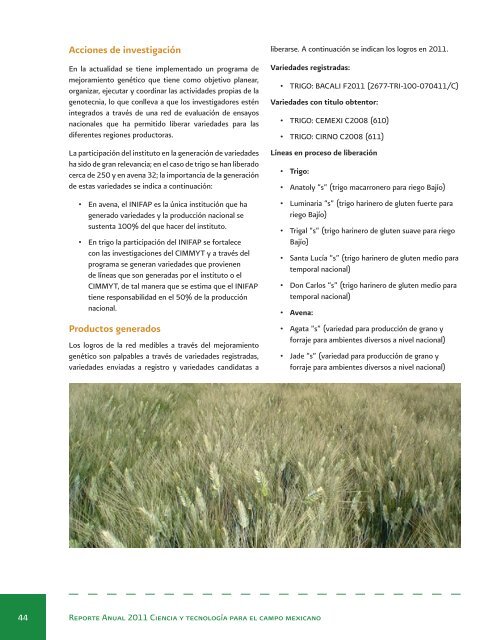 Reporte Anual 2011 Ciencia y tecnologÃ­a para el campo mexicano