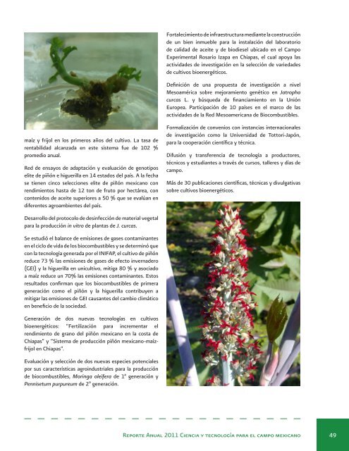 Reporte Anual 2011 Ciencia y tecnologÃ­a para el campo mexicano