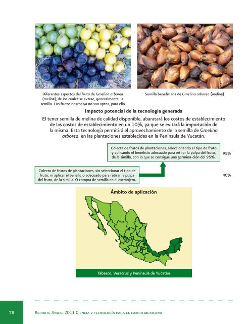 Reporte Anual 2011 Ciencia y tecnologÃ­a para el campo mexicano