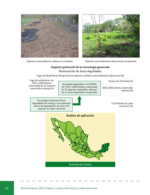 Reporte Anual 2011 Ciencia y tecnologÃ­a para el campo mexicano