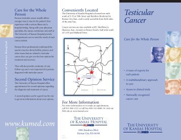 Testicular Cancer Brochure - The University Of Kansas Hospital