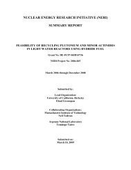 nuclear energy research initiative (neri) summary report - OSTI