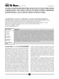 full paper - THE BIOSCAN