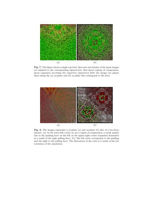 Tensor Field Visualization Using a Metric Interpretation