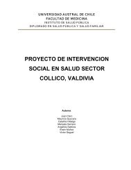 proyecto de intervencion social en salud sector collico, valdivia