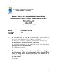 pdf 448kb - DirecciÃ³n General de AeronÃ¡utica Civil