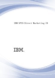 IBM SPSS Direct Marketing 19