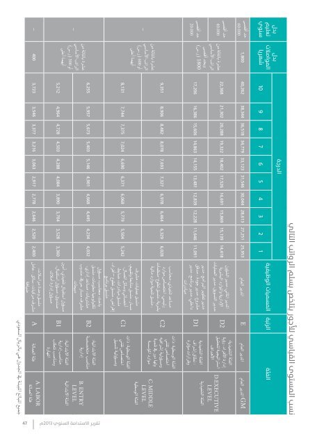 annual sustainability report 2013  Arabic