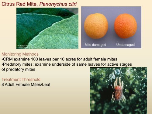 Grower Research $$$ at work - Citrus Research Board