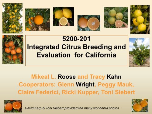 Grower Research $$$ at work - Citrus Research Board