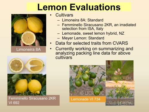 Grower Research $$$ at work - Citrus Research Board