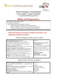 Bilan et Perspectives - Cap 3B