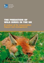 THE PREDATION OF WILD BIRDS IN THE UK - RSPB
