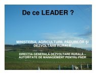 De ce LEADER ? - MADR