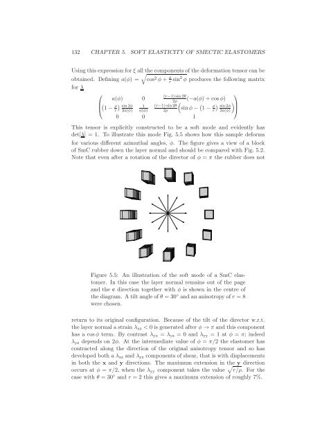 Statistical models of elasticity in main chain and smectic liquid ...