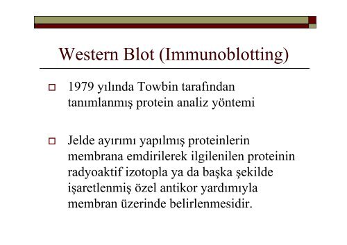 Elektroforez, Western Blot, Southern Blot, Northern Blot