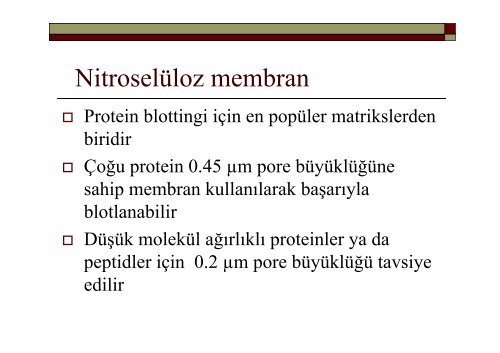 Elektroforez, Western Blot, Southern Blot, Northern Blot