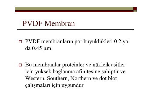 Elektroforez, Western Blot, Southern Blot, Northern Blot