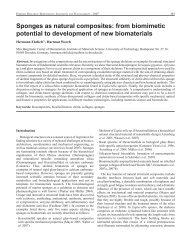 Sponges as natural composites.pdf - Porifera Brasil