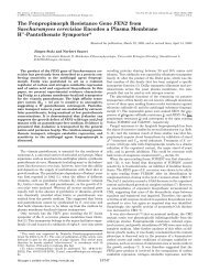 Pantothenate Symporter - Journal of Biological Chemistry