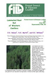 Laminated Root Rot of Western Conifers
