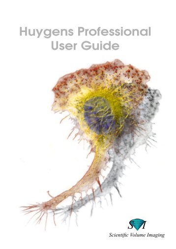 Huygens Professional User Guide