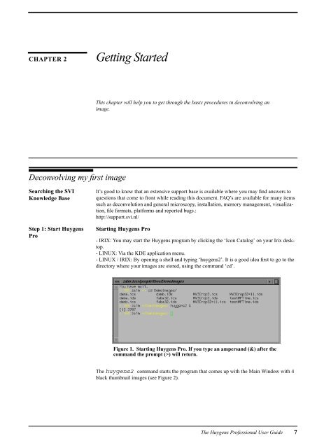 Huygens Professional User Guide