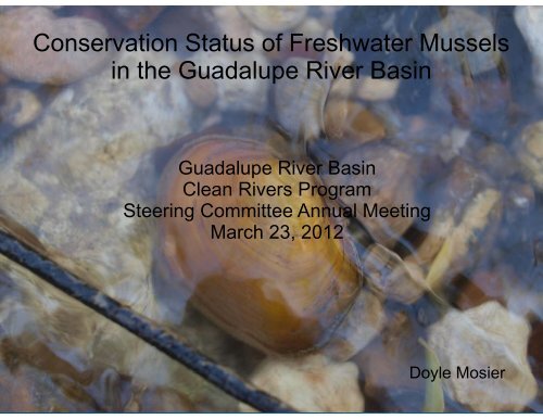 Conservation Status of Freshwater Mussels in the Guadalupe River ...